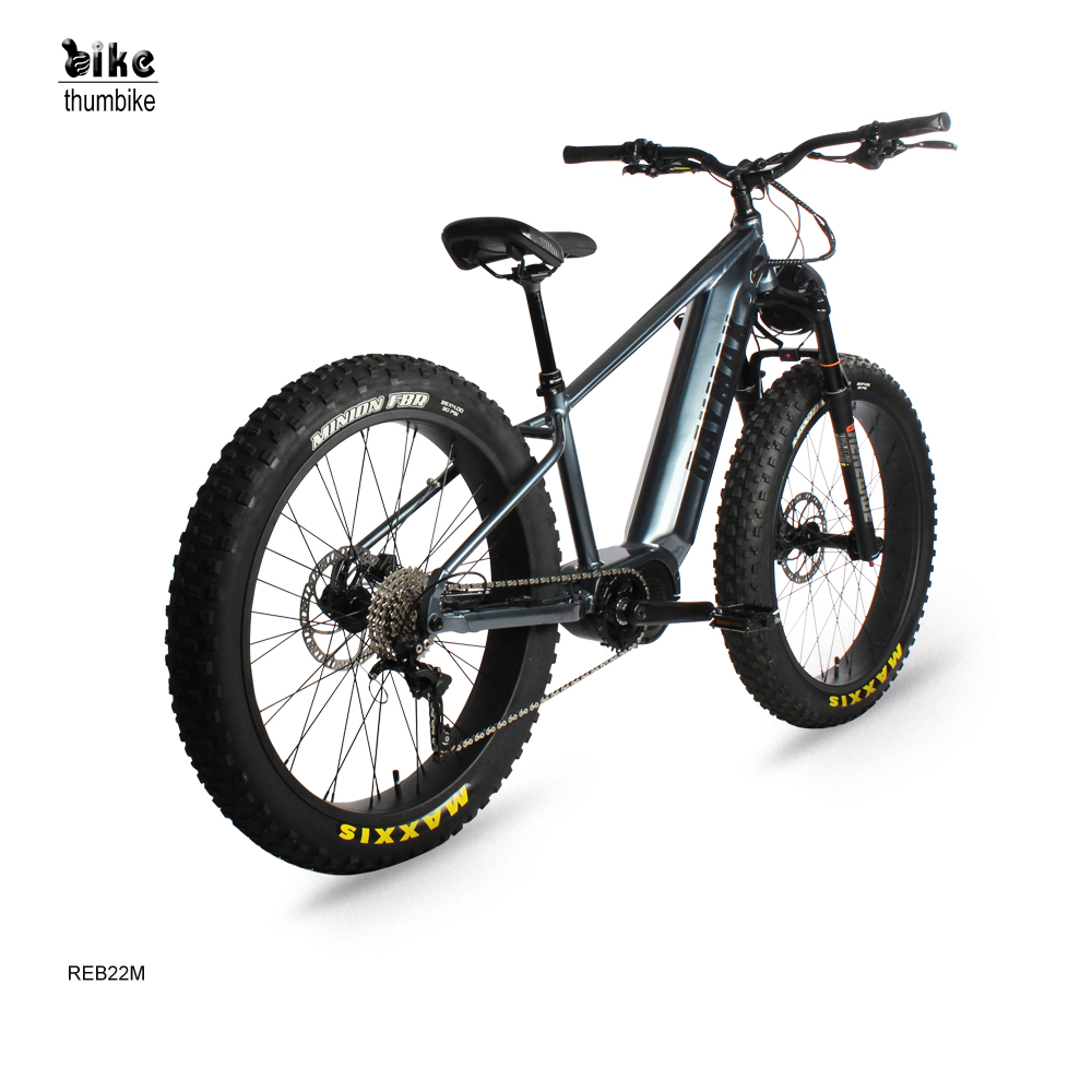 Fat Tire Hardtail Electric Snow Bike with Suspension
