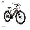 Custom Powerful Long Range 500W Aluminium Fat Tire Electric City Bike