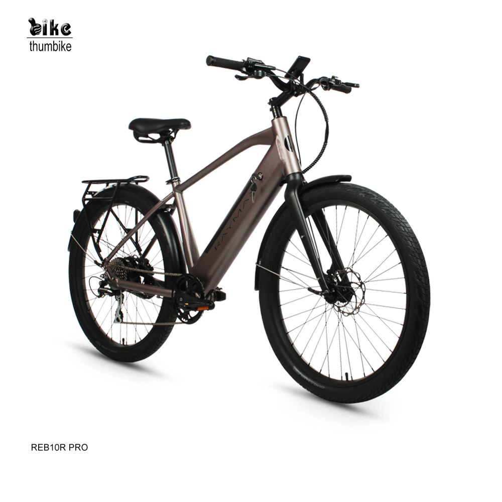 Custom Powerful Long Range 500W Aluminium Fat Tire Electric City Bike