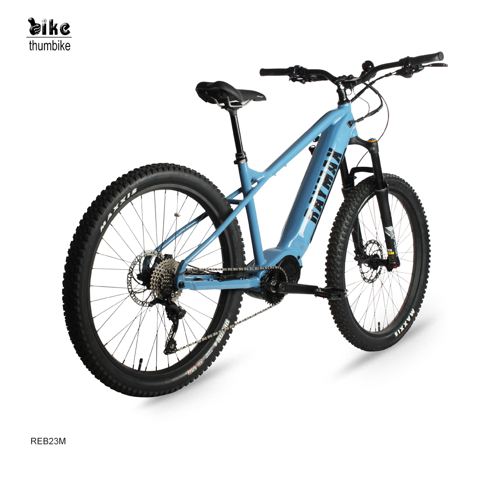 High end Powerful Mid Drive Electric Mountain Bike with Throttle