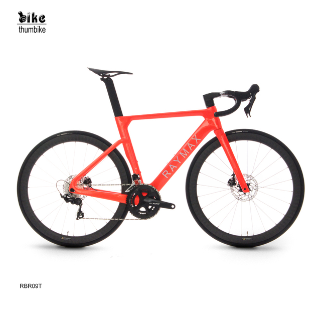 Endurance Racing Lightweight Road Bicycle