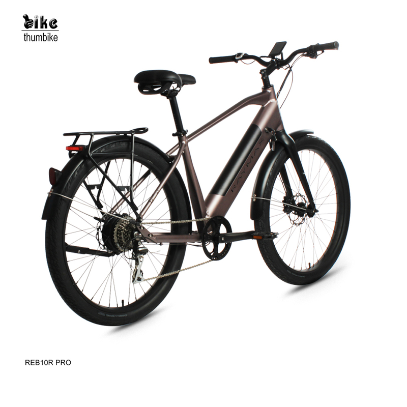 Custom Powerful Long Range 500W Aluminium Fat Tire Electric City Bike