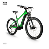 High end Powerful Mid Drive Electric Mountain Bike with Throttle