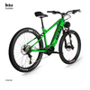 High end Powerful Mid Drive Electric Mountain Bike with Throttle