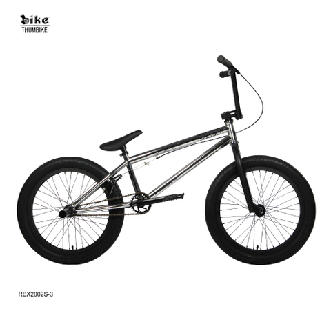 Custom Zinc Rustproof 20 Inch BMX Bike