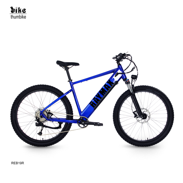 OEM Commuter Electric Hybrid Bike with Throttle