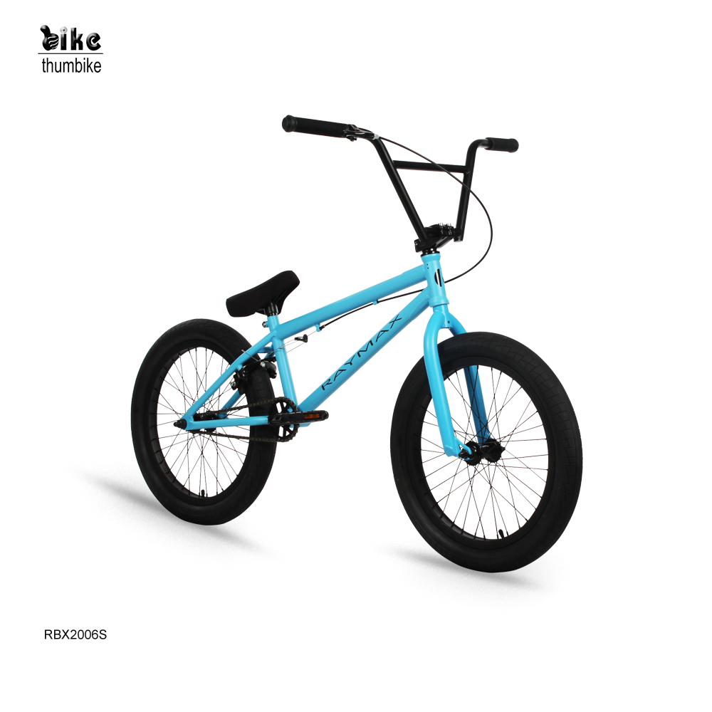 OEM 20 Inch Freestyle Hi-ten Steel BMX Bike