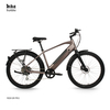 Custom Powerful Long Range 500W Aluminium Fat Tire Electric City Bike