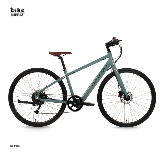 Economical Labor-saving Low Frame Electric City Bike
