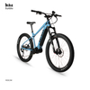 High end Powerful Mid Drive Electric Mountain Bike with Throttle