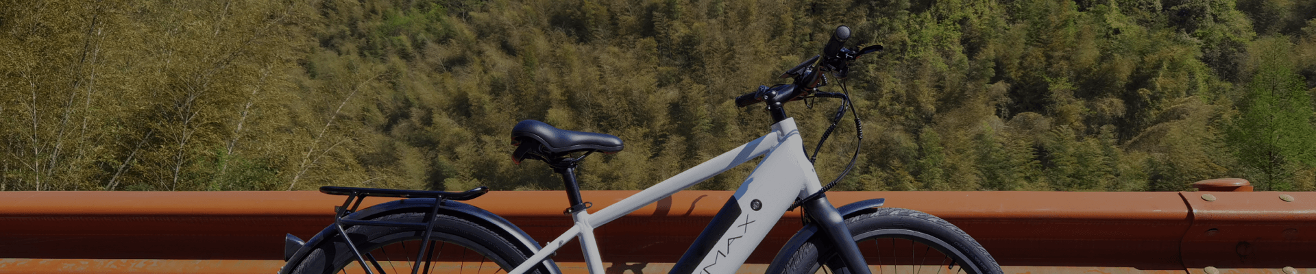 Full suspension Electric mountain bike