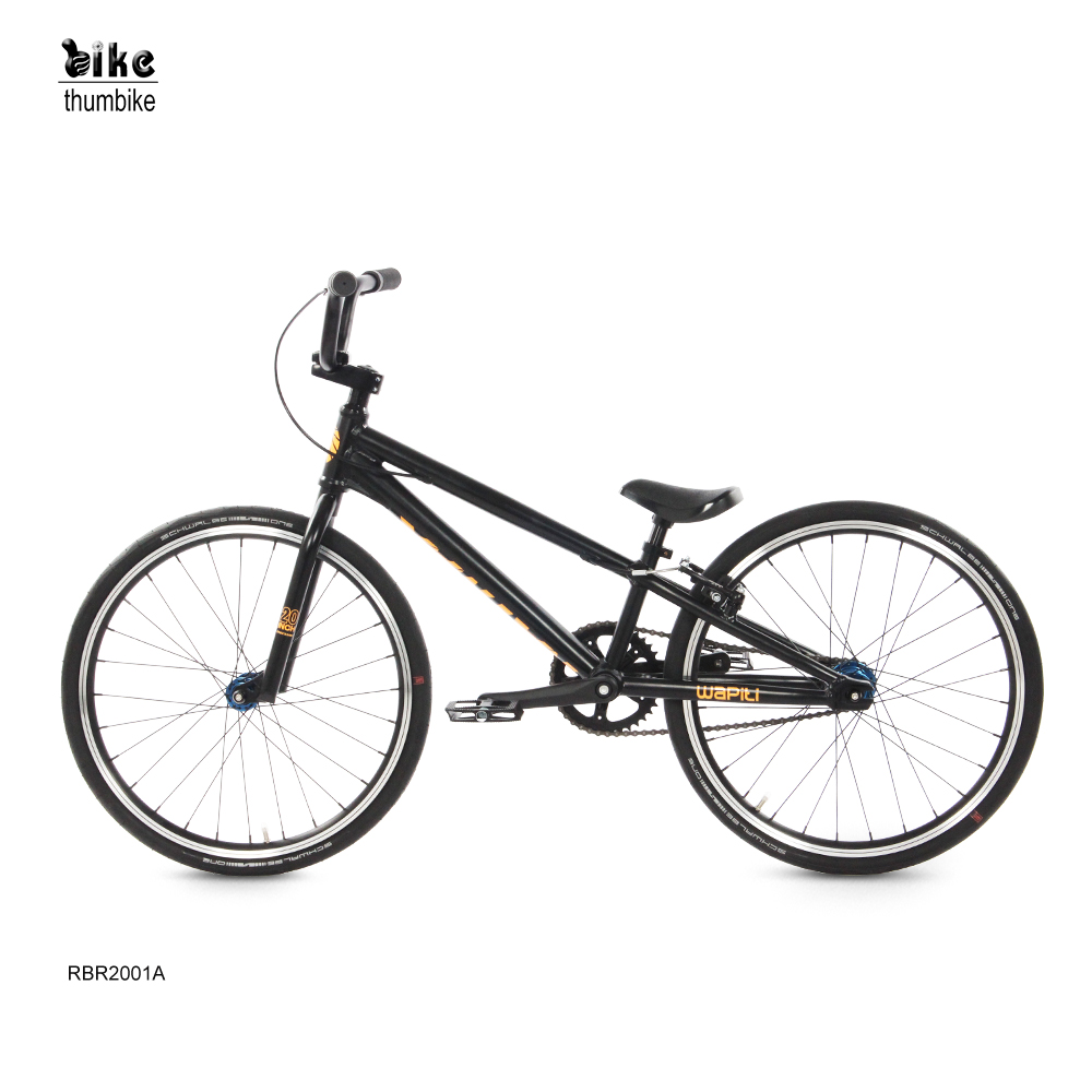 Customized Hot Selling 20 Inch Aluminum Alloy Dirt Jump Bicycle Mountain Bike Freestyle Bmx Bicycle