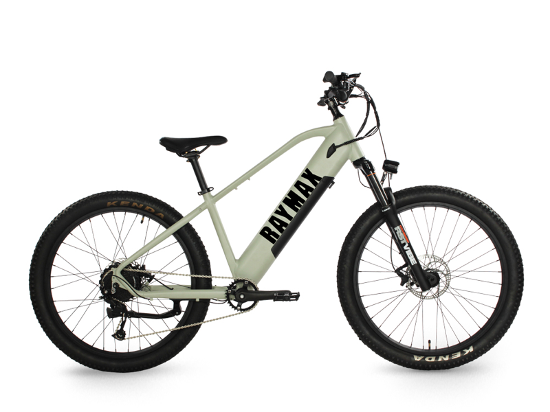 The Best of Both Worlds: Unveiling the Versatility of Hybrid Electric Bikes