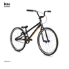 Customized Hot Selling 20 Inch Aluminum Alloy Dirt Jump Bicycle Mountain Bike Freestyle Bmx Bicycle