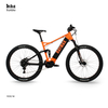 Custom Full Suspension Powerful Electric Mountain Bike with Removable Battery