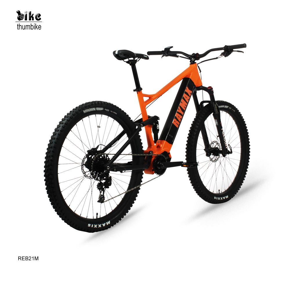 Custom Full Suspension Powerful Electric Mountain Bike with Removable Battery