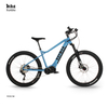 High end Powerful Mid Drive Electric Mountain Bike with Throttle