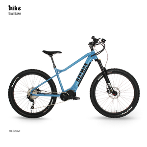 High end Powerful Mid Drive Electric Mountain Bike with Throttle