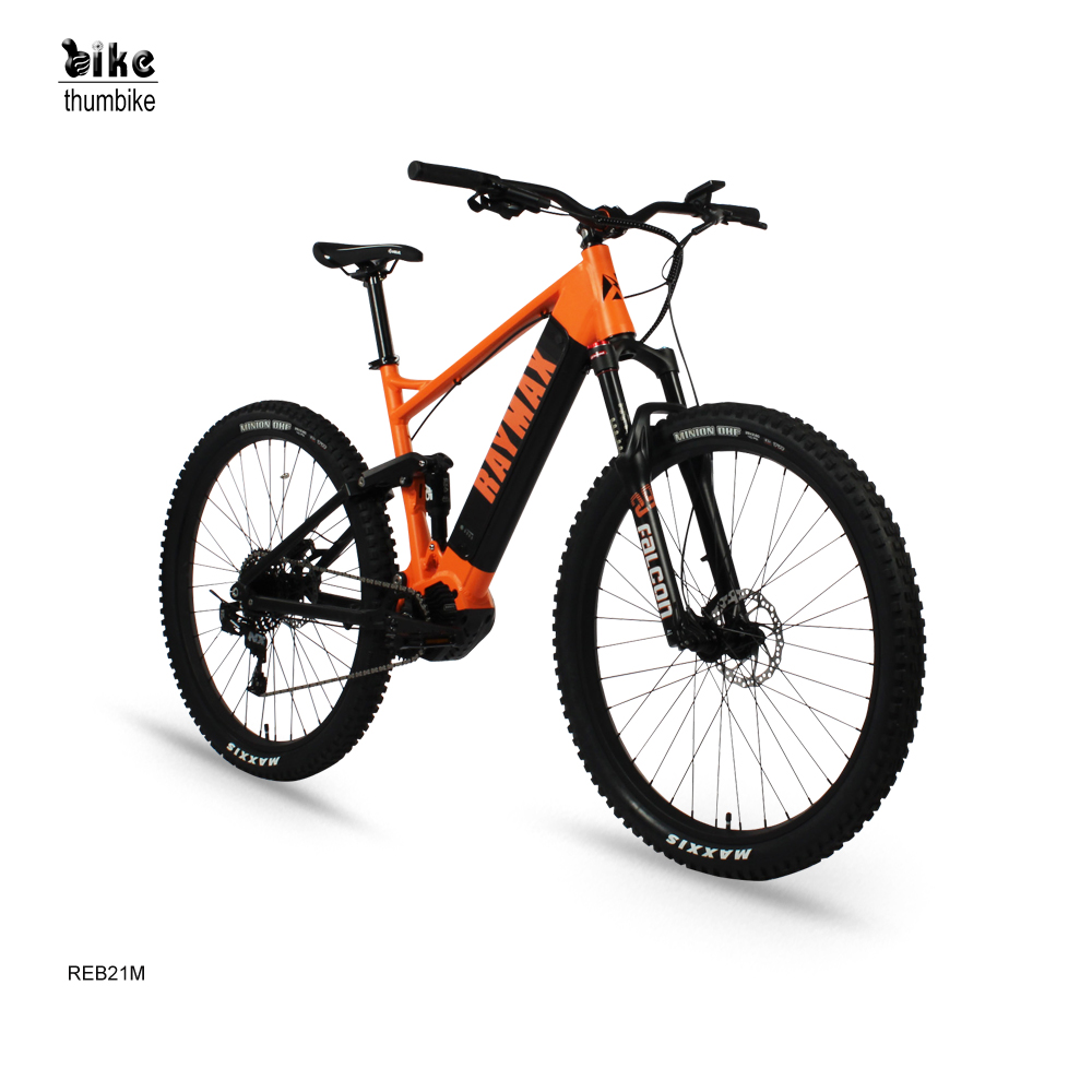 Custom Full Suspension Powerful Electric Mountain Bike with Removable Battery