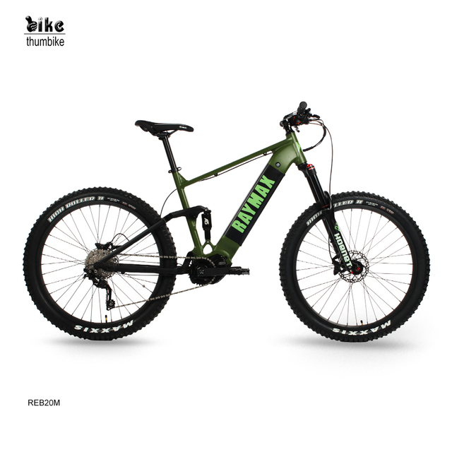 OEM sport mid drive electric mountain bike