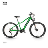 High end Powerful Mid Drive Electric Mountain Bike with Throttle